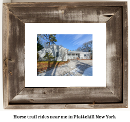 horse trail rides near me in Plattekill, New York